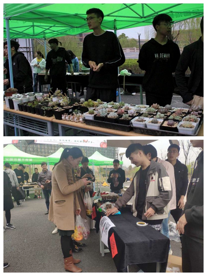 光影魔术手拼图6_副本700.jpg