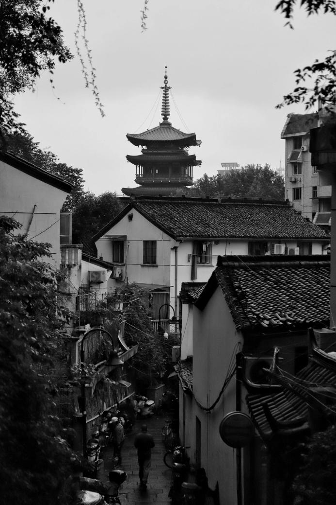 微信图片_20201123193442 微信图片_20201123193442