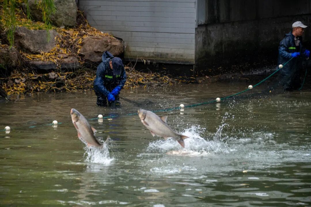 16185077873744.jpeg 16185077873744.jpeg